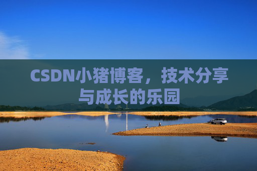 CSDN小猪博客，技术分享与成长的乐园